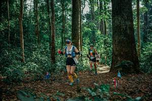 BIB: 
                            <button type="button" onclick="openModal(26131064)" class="btn btn-primary btn-sm float-right btn-popup" data-toggle="modal" data-target=".modal-high-quality">
                        <i class="fas fa-shopping-cart"></i> Add to Cart
                    </button>
                                            <button type="button" onclick="isThisMe(26131064, true)" class="btn btn-success btn-sm float-right btn-popup btn-isme hidden" data-toggle="tooltip" data-placement="bottom" title="นี่คือรูปของคุณใช่ไหม คลิกที่นี่เพื่อเอาเข้าอัลบั้ม">
                        <i class="fas fa-plus"></i> Add to album
                    </button>
                    <button type="button" onclick="isThisMe(26131064, false)" class="btn btn-warning btn-sm float-right btn-popup btn-isnotme hidden">
                        <i class="fas fa-ban"></i> Remove from album
                    </button>